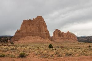 IMG 0448