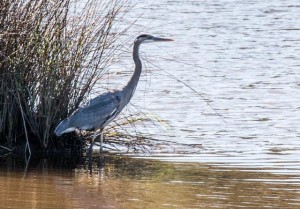 IMG_4906